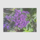 Search for one kind gift wrap Flowers