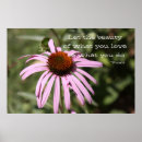 Search for love beautiful posters Motivational
