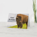 Search for digital bison Wild west