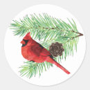 Search for cardinal stickers Simple