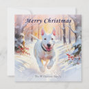 Search for bull terrier christmas cards Dog breed