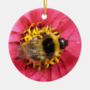 Search for bumblebee christmas tree decorations Bees