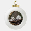 Search for snowy owl christmas tree decorations Cute