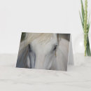 Search for laughing animals postcards Horses