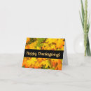 Search for fall leaves thanksgiving cards Maple