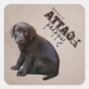 Search for chocolate lab puppy stickers Retriever