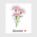 Search for carnation flower stickers Nature