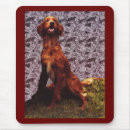 Search for gun electronics Pets