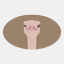 Search for face funny stickers Wildlife