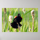 Search for large wings posters Nature