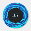 Search for blue metallic magnets Elegant
