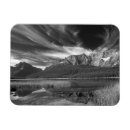 Search for waterfowl magnets Canada