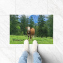 Search for cows photography Animal