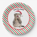 Search for funny christmas paper plates Merry
