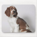 Search for springer mousepads Animals