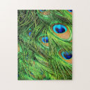 Search for peacock feathers puzzles Blue