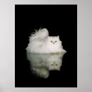 Search for longhair art Pets