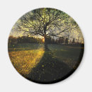 Search for magic trees magnets Forest