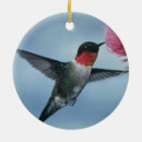 Search for birds christmas tree decorations Feathers