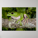 Search for glide posters Nature