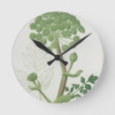 Search for fruit clocks Plants
