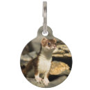 Search for photo pet tags Animals