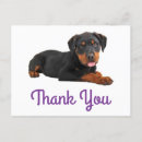 Search for rotties cards Puppies