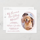 Search for funny dog picture postcards For her