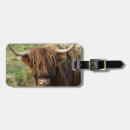 Search for highland cattle luggage tags Hairy