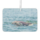 Search for dolphin car air fresheners Wildlife