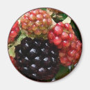 Search for blackberries magnets Garden