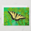 Search for papilio cards Spot
