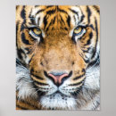 Search for big face posters Animal