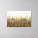 Search for wheat photography Bale