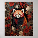 Search for red panda posters Nature
