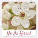 Search for sunday photography Easter