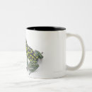 Search for poison dart frog mugs Looking at camera