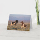 Search for mustang cards Wyoming