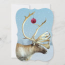 Search for caribou christmas cards Wildlife