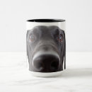 Search for pet portrait mugs Closeup