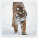Search for rural labels Wildlife
