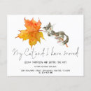 Search for cat moving announcement cards Pet