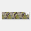 Search for mini bumper stickers Pet