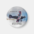Search for air plane magnets Pilot