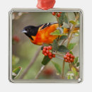 Search for migrator christmas tree decorations Habitat