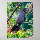 Search for cute lizard posters Wildlife