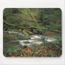 Search for fork mousepads Forest