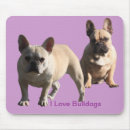 Search for bullys mousepads Animals