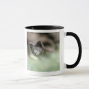 Search for wolf photo mugs Photography