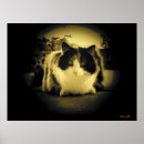 Search for house mouse posters Cat
